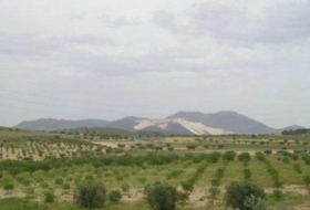Favanella 65000&nbsp;m² 