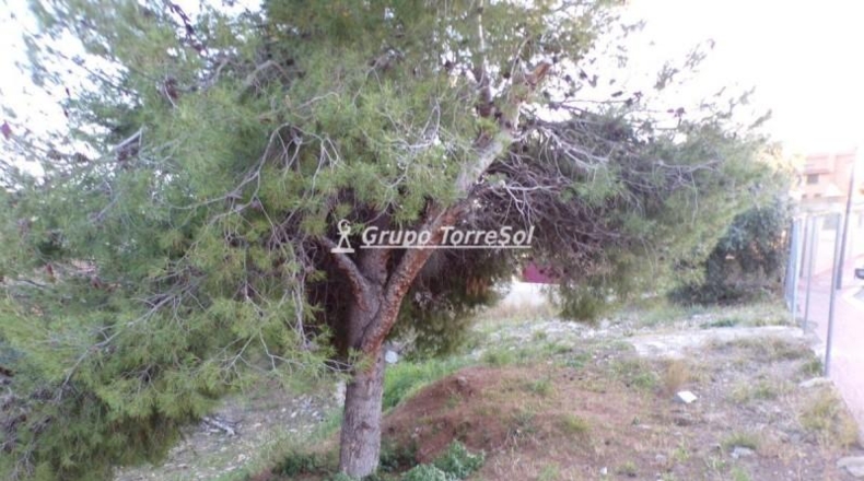 Tarragona - Roda de Berà - 438m2
