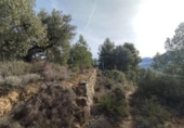Chalet independiente con terreno en venta en la España, Valderrobres, ref: TR373489 foto