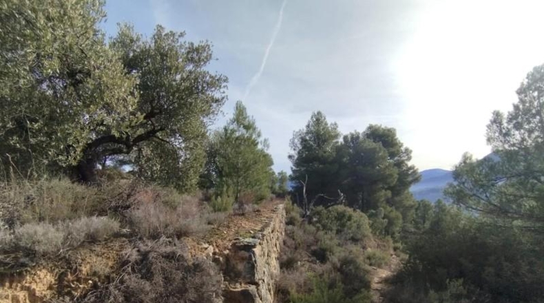 Teruel - Valderrobres - 3056m2