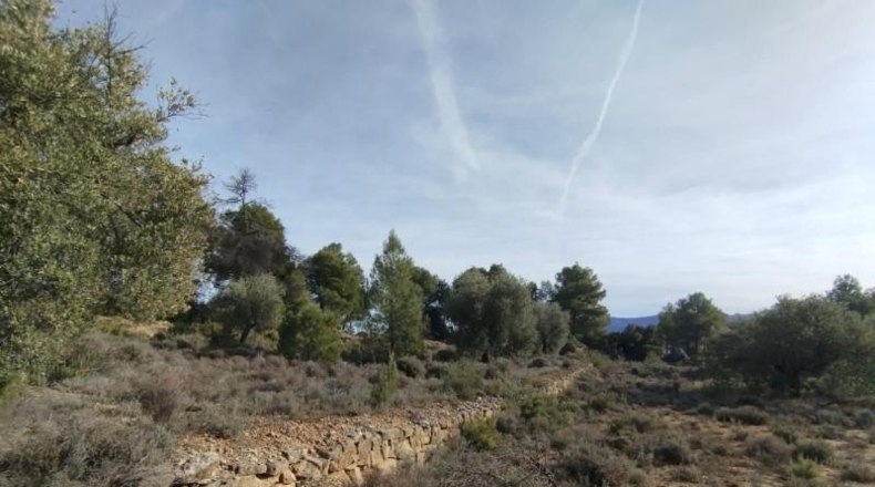 Teruel - Valderrobres - 3056m2