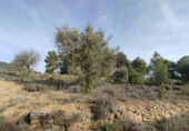 Chalet independiente con terreno en venta en la España, Valderrobres, ref: TR373489 foto