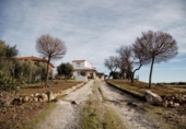 Xalet independent amb terreny en venda a la España, Don Benito, ref.: TR374782 foto