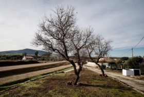 Don Benito 1000&nbsp;m² 