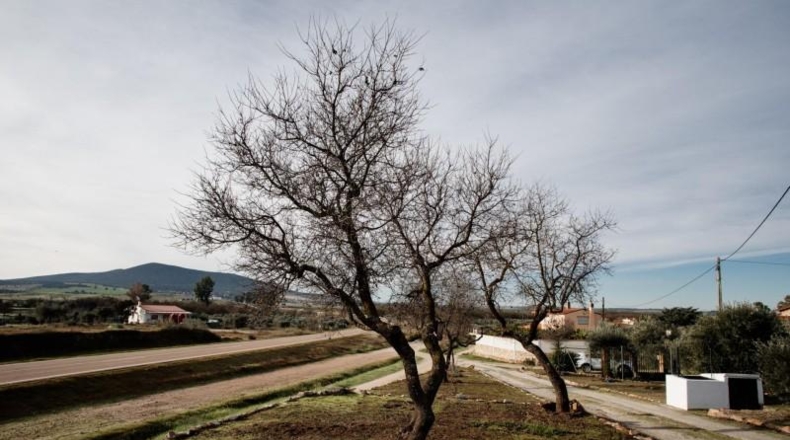 Badajoz - Дон Бенито - 1000m2