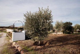 Don Benito 1000&nbsp;m² 