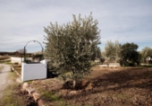 Xalet independent amb terreny en venda a la España, Don Benito, ref.: TR374782 foto
