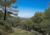 Chalet independiente con terreno en venta en la España, Estivella, ref: TR368849 foto