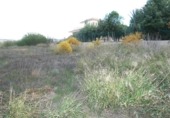 Sòl urbà en venda a la España, Las Torres de Cotillas, ref.: TR368436 foto