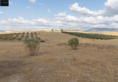 Non-developable land for sale on España, Villa de Otura, ref: TR335159 photo