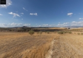 Non-developable land for sale on España, Villa de Otura, ref: TR335159 photo