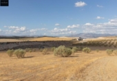 Non-developable land for sale on España, Villa de Otura, ref: TR335159 photo