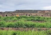 Non-developable land for sale on España, Lorca, ref: TR125163 photo
