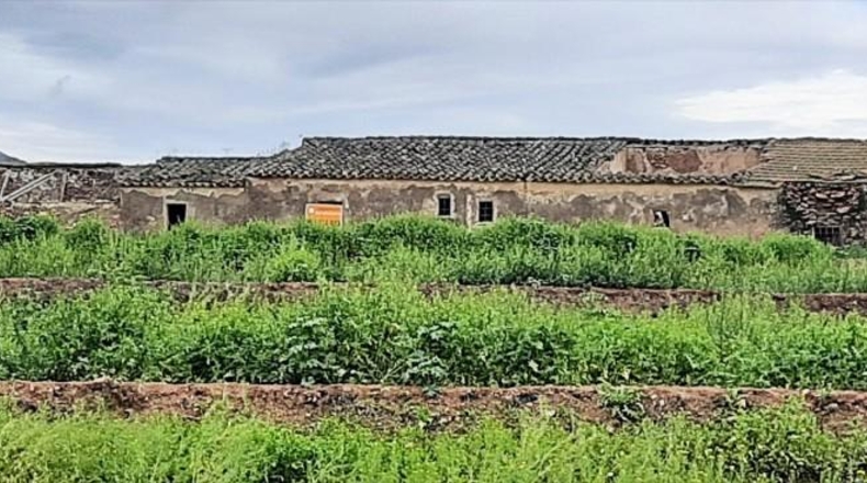 Múrcia - Lorca - 24000m2