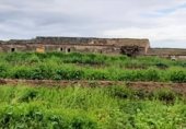 Non-developable land for sale on España, Lorca, ref: TR125163 photo