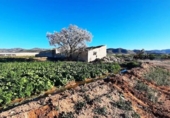 Non-developable land for sale on España, Lorca, ref: TR125163 photo