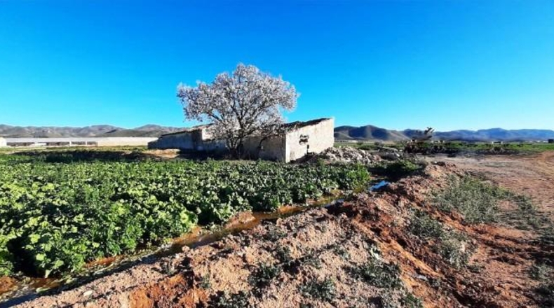 Múrcia - Lorca - 24000m2