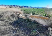 Non-developable land for sale on España, Lorca, ref: TR125163 photo