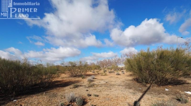 Ciudad Real - Tomelloso - 1844m2