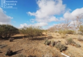 Sòl urbà en venda a la España, Tomelloso, ref.: TR126694 foto