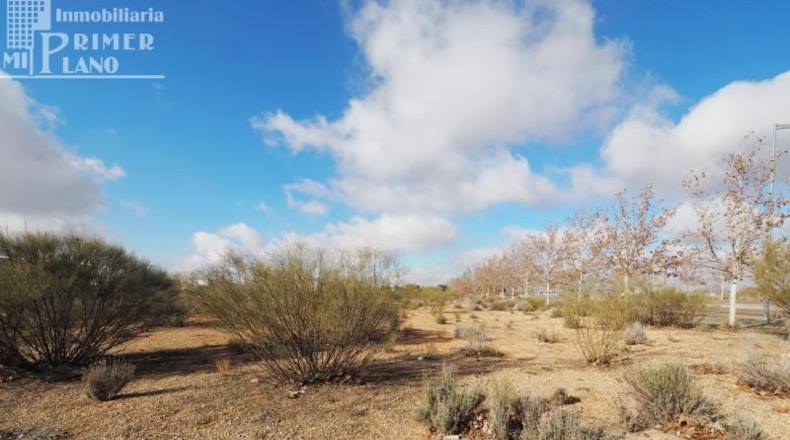 Ciudad Real - Tomelloso - 1844m2