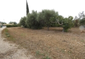 Chalet independiente con terreno en venta en la España, Molina de Segura, ref: TR167959 foto