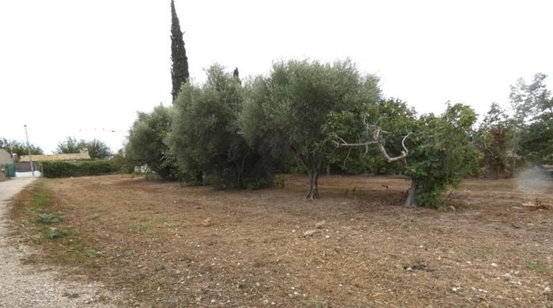Murcia - Molina de Segura - 3009m2