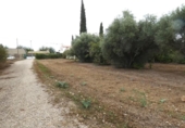 Chalet independiente con terreno en venta en la España, Molina de Segura, ref: TR167959 foto