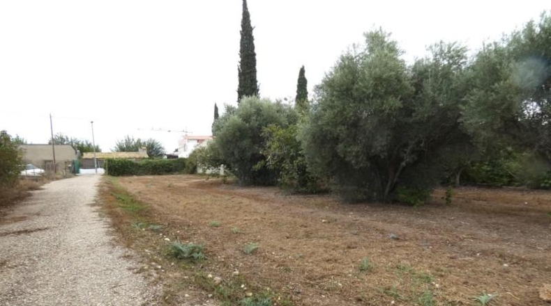 Murcia - Molina de Segura - 3009m2