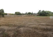 Chalet independiente con terreno en venta en la España, Molina de Segura, ref: TR167959 foto