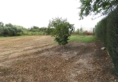 Chalet independiente con terreno en venta en la España, Molina de Segura, ref: TR167959 foto