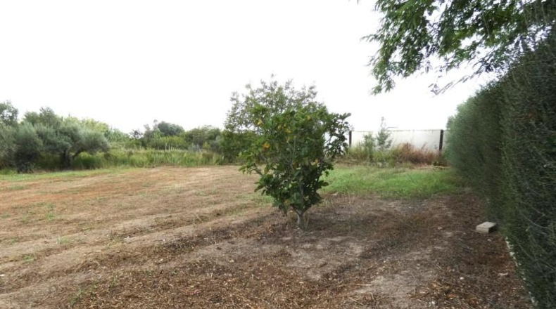 Murcia - Molina de Segura - 3009m2