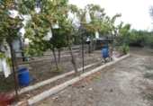 Chalet independiente con terreno en venta en la España, Molina de Segura, ref: TR167959 foto