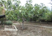 Chalet independiente con terreno en venta en la España, Molina de Segura, ref: TR167959 foto