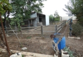 Chalet independiente con terreno en venta en la España, Molina de Segura, ref: TR167959 foto