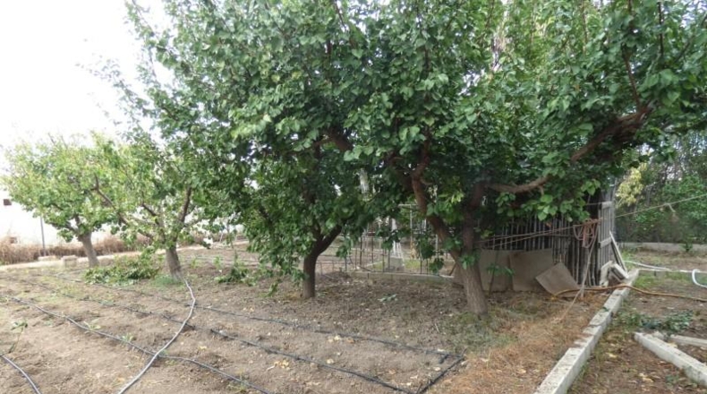 Murcia - Molina de Segura - 3009m2