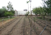 Chalet independiente con terreno en venta en la España, Molina de Segura, ref: TR167959 foto