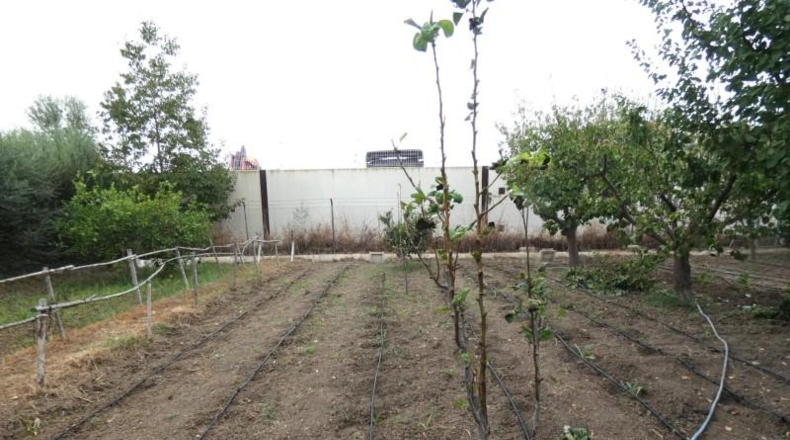 Murcia - Molina de Segura - 3009m2