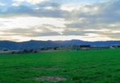 Terreny no urbanitzable en venda a la España, Tordera, ref.: TR177778 foto