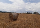 Terreny no urbanitzable en venda a la España, Tordera, ref.: TR177778 foto