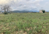 Terreny no urbanitzable en venda a la España, Tordera, ref.: TR177778 foto