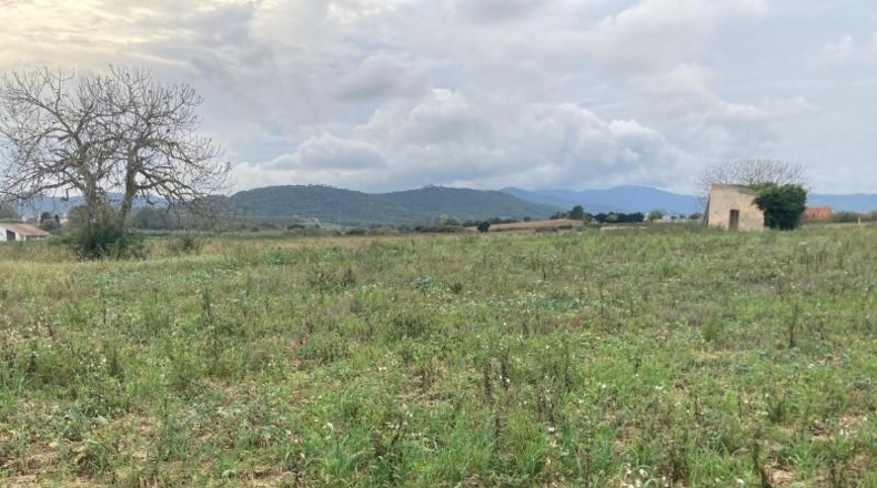Barcelona - Tordera - 15259m2
