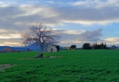 Terreny no urbanitzable en venda a la España, Tordera, ref.: TR177778 foto