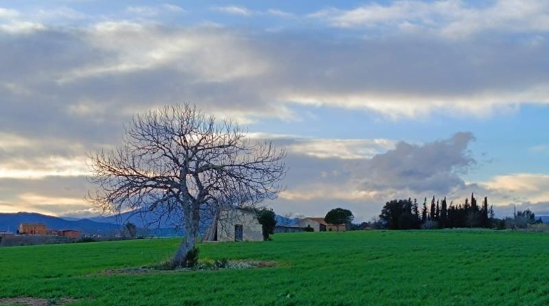 Barcelona - Tordera - 15259m2