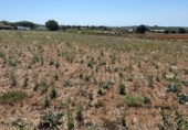 Terreny no urbanitzable en venda a la España, Tordera, ref.: TR177778 foto