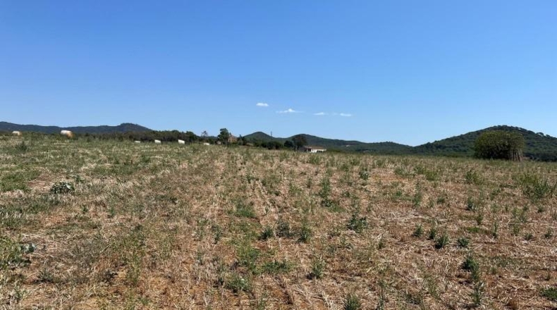 Barcelona - Tordera - 15259m2