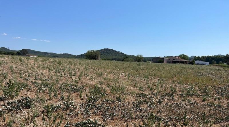 Barcelona - Tordera - 15259m2
