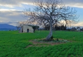 Terreny no urbanitzable en venda a la España, Tordera, ref.: TR177778 foto