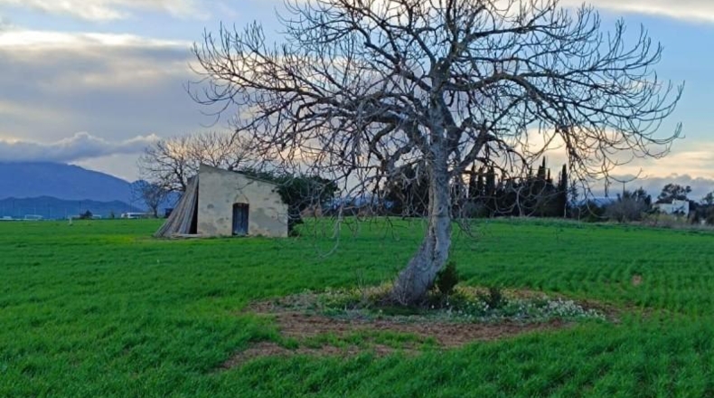 Barcelona - Tordera - 15259m2