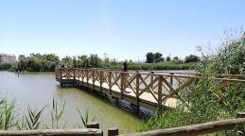 Castellón - Nules - 2402m2